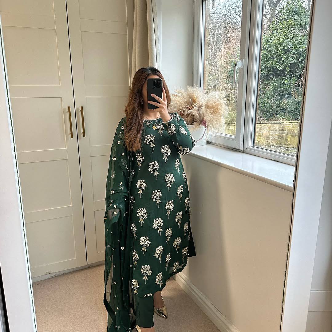 Regal Palette The Essence of Pakistani Elegance