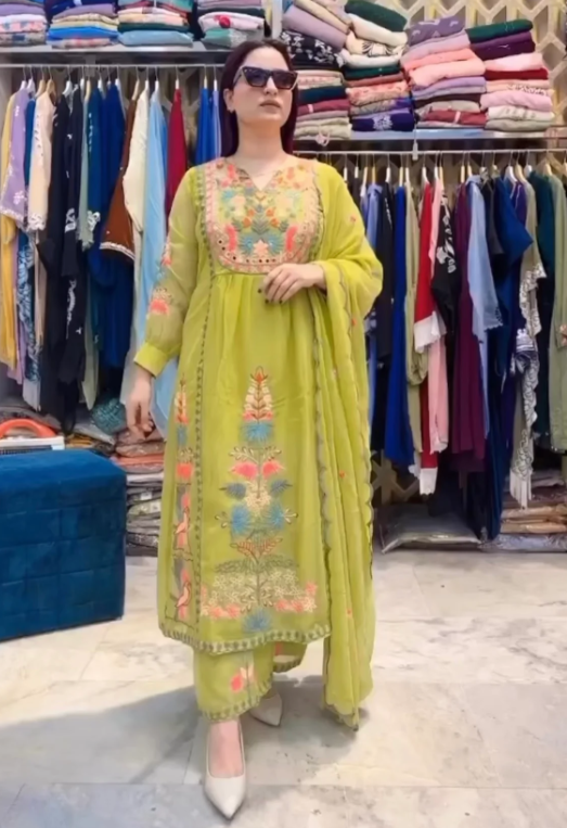 Multi Colored Heavy Embroidery Multi Needle Work Real Mirro Hand Work Suit Set