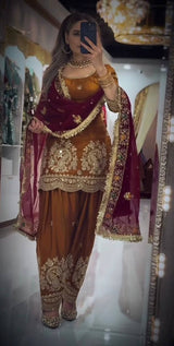 Vibrant Embroidered Punjabi Salwar Suits