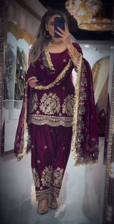 Vibrant Embroidered Punjabi Salwar Suits