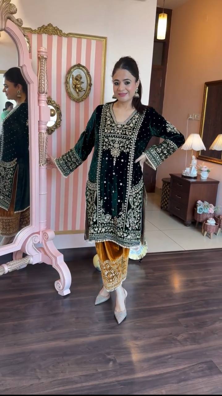 WINTER VELVET CORDING SEQUENCE EMBROIDERY WORK SUIT