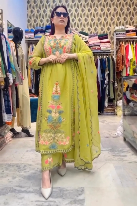 Multi Colored Heavy Embroidery Multi Needle Work Real Mirro Hand Work Suit Set